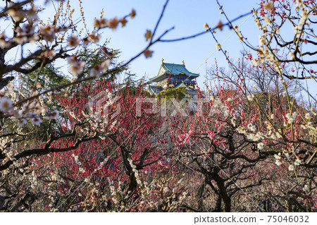 Osaka Castle Osaka Castle 75046032