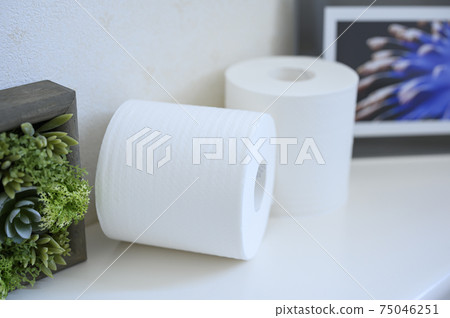 Toilet Paper  Toilet Paper  75046251