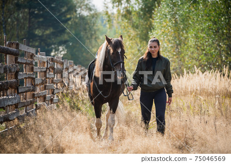 Against the background of a beautiful autumn village landscape, a girl and her stately horse walk Against the background of a beautiful autumn village landscape, a girl and her stately horse walk 75046569