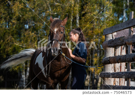 At the ranch, grooming time, a girl brushes her horse in the fall at the paddock At the ranch, grooming time, a girl brushes her horse in the fall at the paddock 75046573