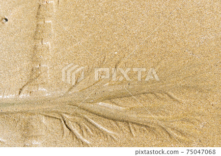 Beach, Tongyeong, Gyeongnam Beach, Tongyeong, Gyeongnam 75047068