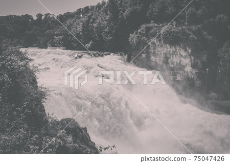 The Rhine Falls is the largest waterfall in Europe in Schaffhausen, Switzerla 75047426