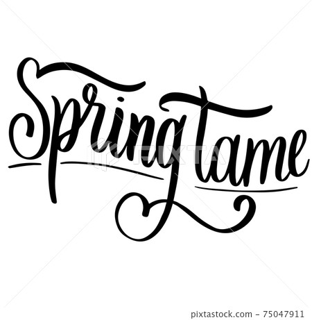 Spring Time lettering vector typography poster print Spring Time lettering vector typography poster print 75047911