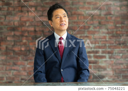 A businessman in his 50s wearing a suit A businessman in his 50s wearing a suit 75048221