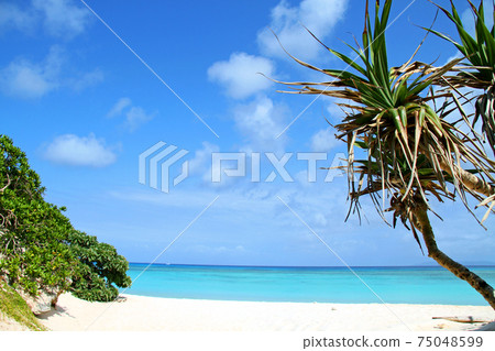 Okinawa Hateruma Island Hateruma Blue Sea Okinawa Hateruma Island Hateruma Blue Sea 75048599