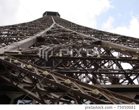 The Eiffel Tower in Paris 75050081