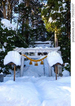 神社埋在雪中 神社埋在雪中 75050197