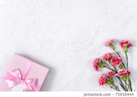 康乃馨 花束 母親節 禮物 carnation Mother's Day 母の日 カーネーション 康乃馨 花束 母親節 禮物 carnation Mother's Day 母の日 カーネーション 75050444
