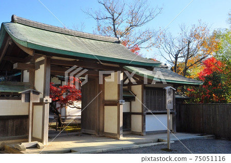Saikan, autumn leaves and blue sky in the precincts of Tsurugaoka Hachimangu, Kamakura Saikan, autumn leaves and blue sky in the precincts of Tsurugaoka Hachimangu, Kamakura 75051116