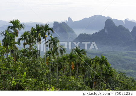 Landscape of mountains Landscape of mountains 75051222