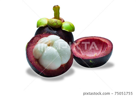 mangosteen 75051755