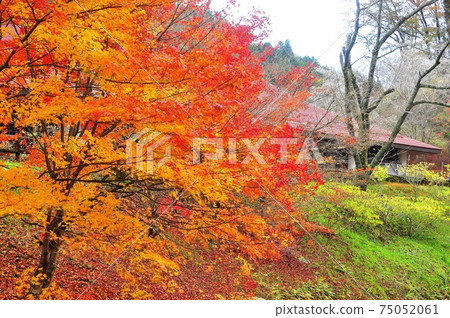 Toyota City, Aichi Prefecture Obara Washi Hometown Washi Craft Experience Center and Autumn Leaves 75052061