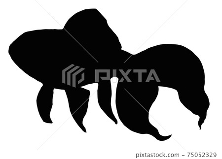 Illustration of Ryukin goldfish silhouette 75052329