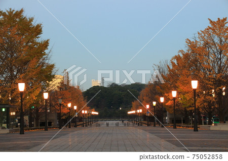 清晨在京瓷通（東京站/丸之內） 75052858