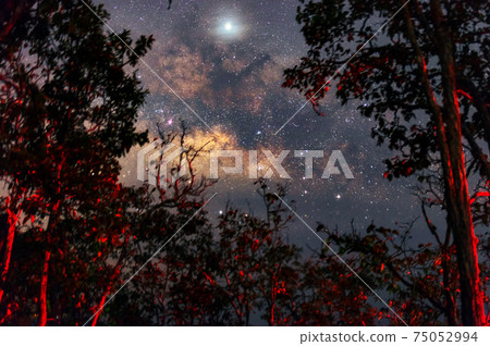 Milky way Milky way 75052994