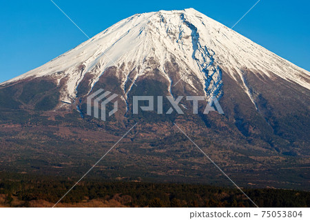Shizuoka Prefecture / Mt. Fuji in winter seen from the vicinity of Asagiri Plateau 75053804