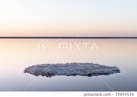 Tranquil minimalist landscape with smooth surface of the pink salt lake 75054539