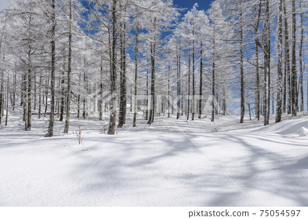 Snowy landscape of the plateau 75054597