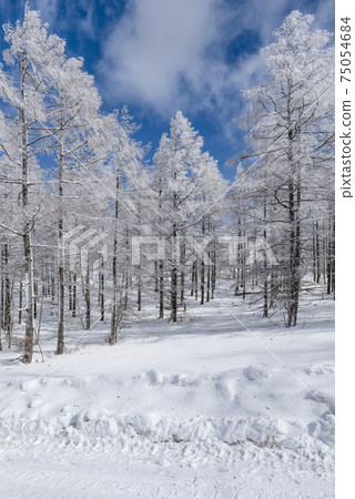 Snowy landscape of the plateau 75054684