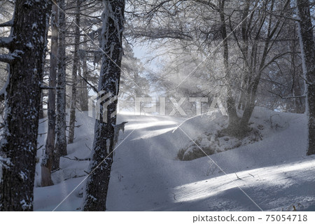 Snowy landscape of the plateau Snowy landscape of the plateau 75054718