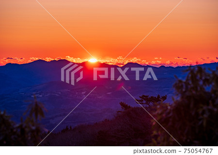 (Shizuoka Prefecture) Sunrise from the Hakone mountain range seen from the Darumayama plateau 75054767