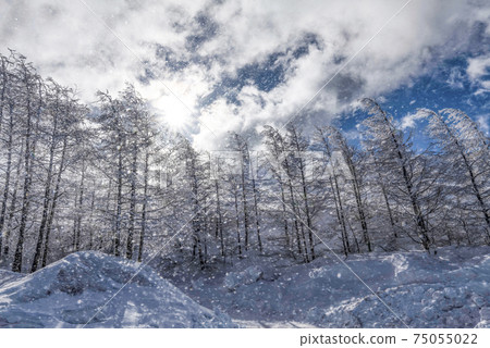 Snowy landscape of the plateau 75055022