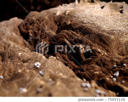 Rock surface eroded by the sea 75055138
