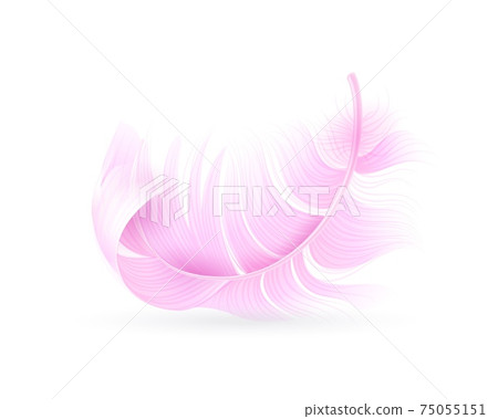 Pink feather. Exotic bird, flamingo or parrot realistic flying fluff, bird soft bright falling twirled plumage, decor element for design vector object isolated on white background 75055151