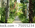 叢林之路 75055234
