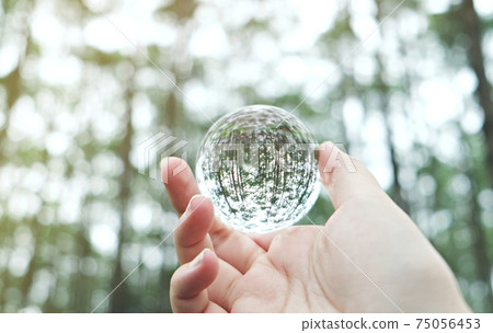 Save world. Earth day. Energy saving concept. Crystal glass ball in Nature Pine Park Save world. Earth day. Energy saving concept. Crystal glass ball in Nature Pine Park 75056453