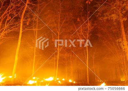 Forest fire, Wildfire. Forest fire, Wildfire. 75056666