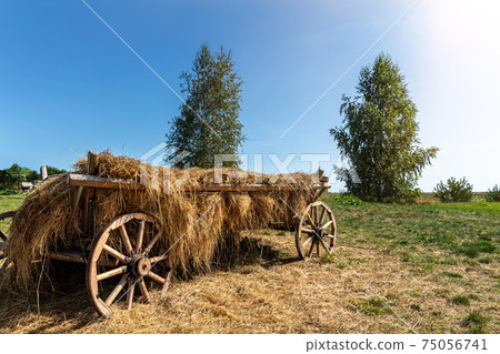 Old vintage rustic wooden ancient cart carriage with hay pile on green grass meadow field against clear blue sky on bright sunny day. Scenic rural countryside landscape with aged transport farm ranch Old vintage rustic wooden ancient cart carriage with hay pile on green grass meadow field against clear blue sky on bright sunny day. Scenic rural countryside landscape with aged transport farm ranch 75056741