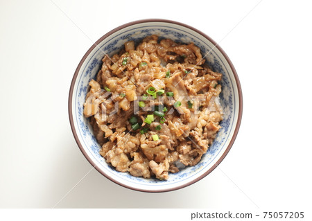 Bulgogi on rice Bulgogi on rice 75057205