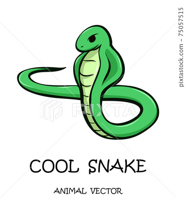 Vector illustration cartoon on a white background of a snake cartoon. Vector illustration cartoon on a white background of a snake cartoon. 75057515