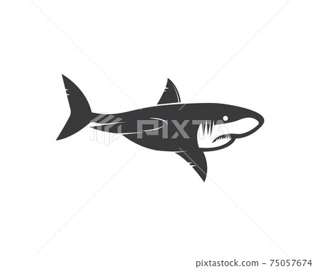 shark icon vector illustration design 75057674