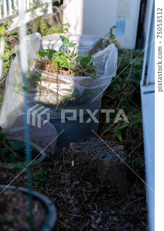 Clean up the backyard Clean up the backyard 75058512