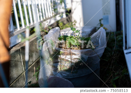 Clean up the backyard Clean up the backyard 75058513