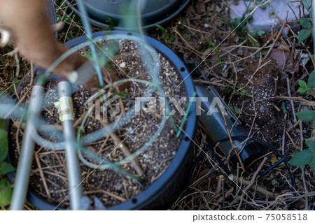 Clean up the backyard 75058518