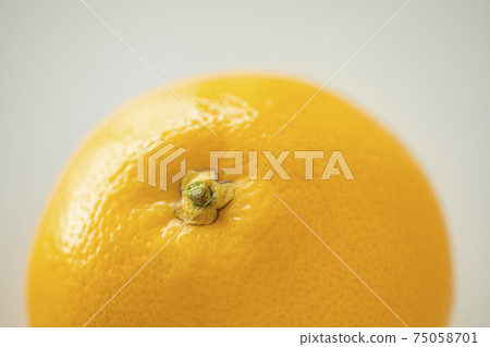 Fresh grapefruit Fresh grapefruit 75058701