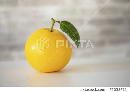 Grapefruit with fresh leaves 75058711