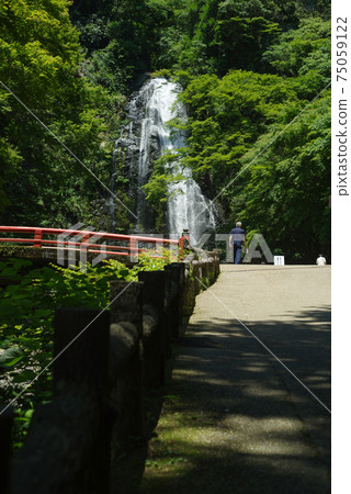 Meiji no Mori Minoh National Monument, Fresh Green Minoh Falls 75059122