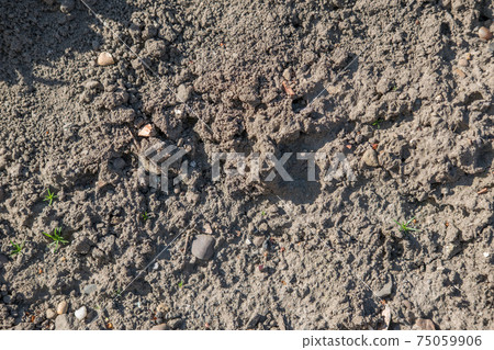 soil plain texture for background 75059906