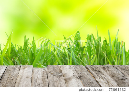 Green grass on wooden board Green grass on wooden board 75061382