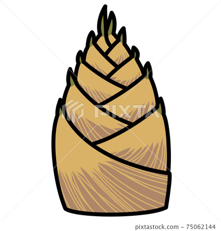 Bamboo shoot white background cut illustration material 75062144
