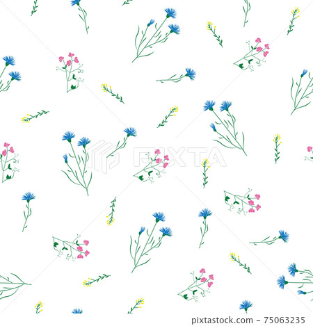 Wild flower sweet pea and knapweed seamless pattern 75063235