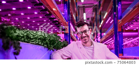 Worker looking at camera on aquaponic farm, sustainable business and artificial lighting. Worker looking at camera on aquaponic farm, sustainable business and artificial lighting. 75064803