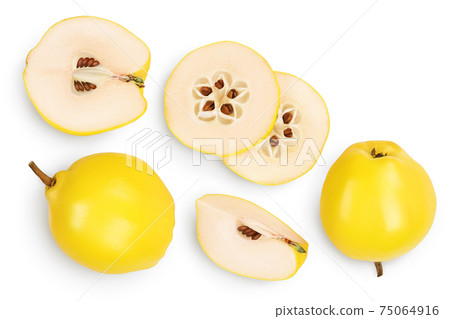 Fresh quince with half and slices isolated on the white background with clipping path and full depth of field. Top view. Flat lay Fresh quince with half and slices isolated on the white background with clipping path and full depth of field. Top view. Flat lay 75064916