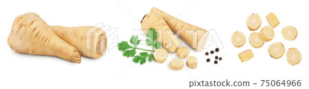 Parsnip root and slices with parsley isolated on white background closeup, Set or collection 75064966