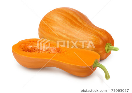 butternut squash half isolated on white background with clipping path and full depth of field butternut squash half isolated on white background with clipping path and full depth of field 75065027