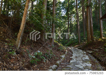 來自Kumano Kodo 75065283